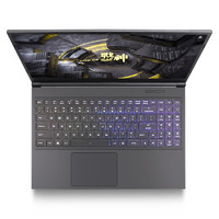 Hasee 神舟 战神 Z7-CT5VH 15.6英寸 游戏本 黑色(酷睿i5-9300H、GTX 1660Ti 6G、8GB、256GB SSD+1TB HDD、1080P、IPS、60Hz)