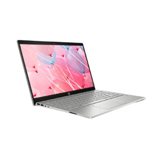 HP 惠普 星14 十代酷睿版 14.0英寸 轻薄本 银色 (酷睿i7-1065G7、MX250、8GB、1TB SSD、1080P、IPS、60Hz)