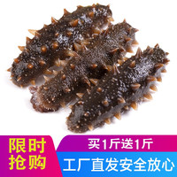 明威自营即食海参鲜食海参单个装 辽刺参海渗鲜活海刺参500g 15-25头  口感筋道