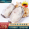 蓝盒子 乳山生蚝鲜活生鲜 超大海蛎子 健康轻食牡蛎 净重4斤\/8斤装 海鲜水产贝类 净重8斤  XL号（约40~56个）