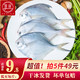 SuXian 速鲜 拍5件   速鲜 冷冻新鲜小平鱼银鲳鱼烧烤  500g（5-7条）袋装