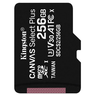 Kingston 金士顿 SDCS2系列 Micro-SD存储卡 256GB（UHS-I、V30、U3、A1）