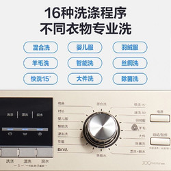 LittleSwan 小天鹅 10公斤 一级变频电机节能洗衣机TG100S21WDG