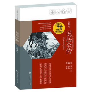 《写给孩子的中国文化经典·说岳全传》
