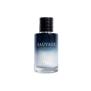 Dior 迪奥 旷野男士须后乳 100ml