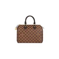 LOUIS VUITTON 路易威登 SPEEDY系列 手袋 N41365 棕色 25
