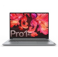 Lenovo 联想 小新 Pro14 2021 14英寸笔记本电脑（R5-5600H、16GB、512GB、100％sRGB）