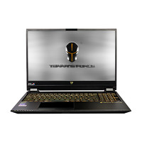 TERRANS FORCE 未来人类 T5X 15.6英寸 游戏本 黑色(酷睿i7-9750H、RTX 2070 8G、16GB、1TB SSD+1TB HDD、4K、60Hz、T5X-2070-97SH2)