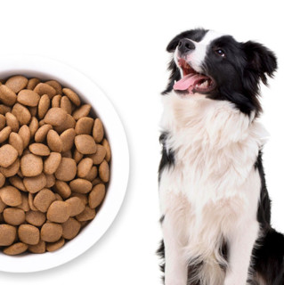 PURICH 醇粹 金标系列 无麸低敏中小型犬全阶段狗粮 1.5kg