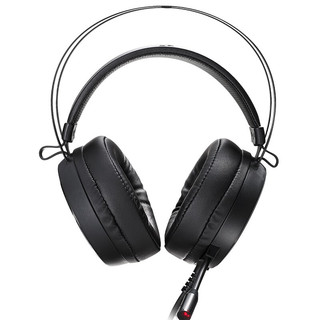 RAPOO 雷柏 VH500 耳罩式头戴式动圈降噪有线耳机 黑色 USB口
