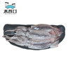 水巷口 冷冻南海鱿鱼500g/袋（5-7条）国产水产 火锅烧烤 生鲜 海鲜年货