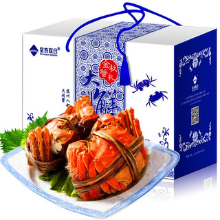 sinoonunion星农联合金秋蟹礼大闸蟹8只礼盒装