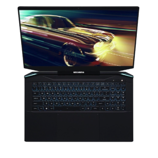 MECHREVO 机械革命 钛钽 PLUS 17.3英寸 游戏本 黑色(酷睿i7-11800H、RTX 3070 6G、16GB、512GB SSD、2K、165Hz)