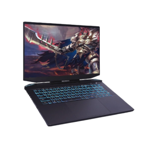 MECHREVO 机械革命 钛钽 PLUS 17.3英寸 游戏本 黑色(酷睿i7-11800H、RTX 3070 6G、16GB、512GB SSD、2K、165Hz)