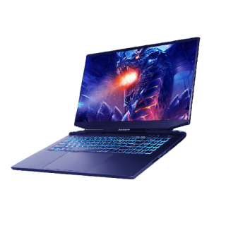 MECHREVO 机械革命 钛钽 PLUS 17.3英寸 游戏本 黑色(酷睿i7-11800H、RTX 3070 6G、16GB、512GB SSD、2K、165Hz)