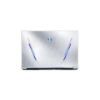 MACHENIKE 机械师 F117-V 15.6英寸 游戏本 银色 (酷睿i7-10750H、GTX 1650 4G、16GB、512GB SSD、1080P）