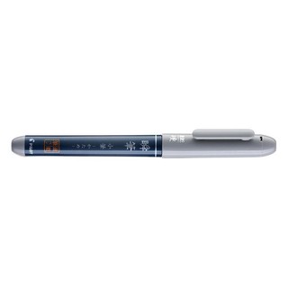 PILOT 百乐 SVS系列 30KK-UB 速干毛笔 灰色 硬笔