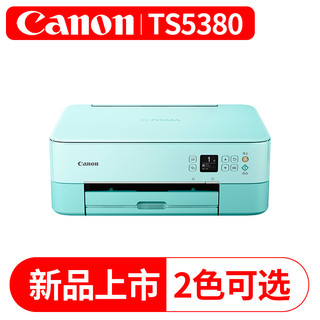 Canon 佳能 TS5380彩色喷墨打印机复印扫描一体机连供无线照片家用办公自动双面 官方标配（粉绿）