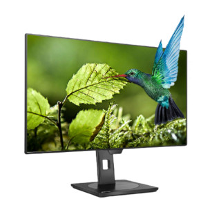 PHILIPS 飞利浦 278P1FR 27英寸 IPS 显示器 (3840×2160、60Hz、109.4%sRGB、HDR400)