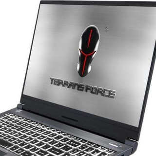 TERRANS FORCE 未来人类 T5M 15.6英寸 游戏本 灰色(酷睿i7-10875H、RTX 2070 Max-Q 8G、32GB、1TB SSD、1080P、240HZ)