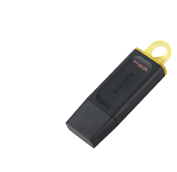 Kingston 金士顿 DTX系列 USB3.2 128GB