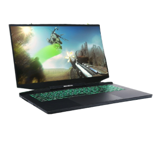 MECHREVO 机械革命 钛钽 PLUS 17.3英寸 游戏本 黑色(酷睿i9-11900H、 RTX 3080 16G、32GB、1TB SS、2K、165H)
