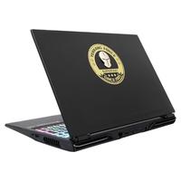 TERRANS FORCE 未来人类 X511 15.6英寸 游戏本 黑色(酷睿i7-10750H、RTX 2060 6GB、32GB、512GB SSD+1TB HDD、1080P、144Hz、26X7SH1)