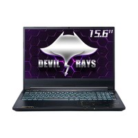 TERRANS FORCE 未来人类 DR522 15.6英寸游戏笔记本电脑（i5-11400H、16GB、512GB SSD、RTX3060）