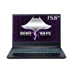 TERRANS FORCE 未来人类 DR522 15.6英寸游戏笔记本电脑（i7-11800H、16GB、512GB SSD、RTX3060）