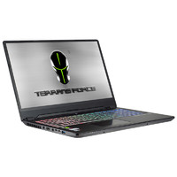 TERRANS FORCE 未来人类 T6 16.1英寸 游戏本 黑色(酷睿i7-9750H、RTX 2060 6G、16GB、512GB SSD+1TB HDD、1080P、LCD、144Hz)