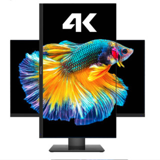 ViewSonic 优派 VX2831-4K-HD 28英寸 IPS 显示器 (3840×2160、60Hz、100%sRGB)