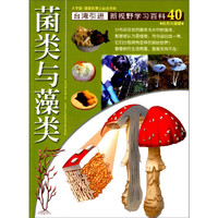《新视野学习百科·40：菌类与藻类》（大字版）
