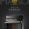 WILLIAMSONBO 威廉森堡 京东定制DW系列立式钢琴DW-120 家用教学 120高度 黑色