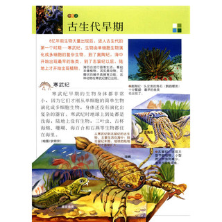 《新视野学习百科·18：古生物》（大字版）