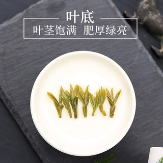 huijiangjun 徽将军 明前特级霍山黄芽嫩芽安徽茶叶250g春茶