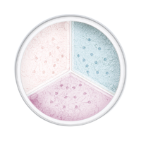 Catkin 卡婷 三色芙蓉蜜粉 #C03琉璃 升级款 12g