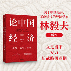 《论中国经济:挑战、底气与后劲》