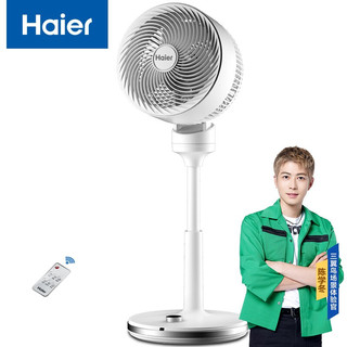 Haier 海尔 家用空气循环扇卧室轻音遥控电风扇变频节能客厅定时 立式落地扇空气对流风扇 XSY2303