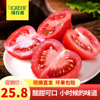 绿行者 山东透心红番茄 3斤 现摘西红柿 1.5kg  健康轻食 孕妇可吃 水果柿子 透心红番茄1.5kg