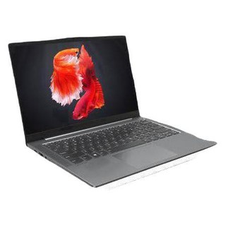 Lenovo 联想 小新 Air14 四代锐龙版 14英寸 轻薄本 灰色（锐龙R5-4600U、核芯显卡、16GB、1TB SSD、1080P、IPS）