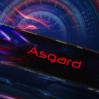 Asgard 阿斯加特 AN2 NVMe M.2 固态硬盘 500GB（PCI-E3.0）