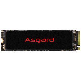 Asgard 阿斯加特 AN2 NVMe M.2 固态硬盘 1TB（PCI-E3.0）（需用券）