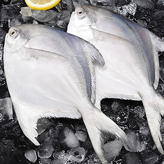 Seamix 禧美海产 银鲳鱼 4-6条 300g