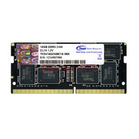 Team 十铨 Elite系列 DDR4 2400MHz 笔记本内存 黑色 16GB TED416G2400C16-SBK
