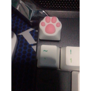 VARMILO 阿米洛 609742 猫爪键帽 1键 粉色