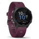  GARMIN 佳明 Forerunner 245 GPS跑步手表　