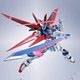 Prime会员：BANDAI 万代 METAL ROBOT魂 《机动战士高达 SEED DESTINY》脉冲高达