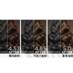 Schwarzkopf 施华蔻 怡然染发霜 #4.57椰风醇棕 1盒