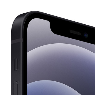 Apple 苹果 iPhone 12系列 A2404 5G手机 256GB 黑色