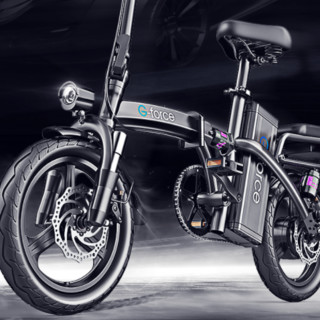 G-force  电动自行车 TDT07Z 48V6.6Ah锂电池 炫酷黑 锐行版